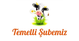 Temelli